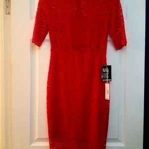 Express lace dress
